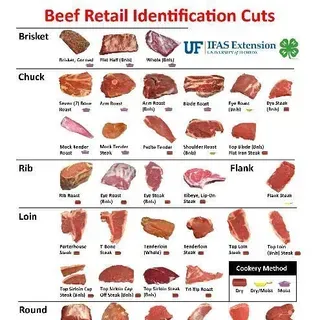 thumbnail for publication: Beef Retail Identification Cuts